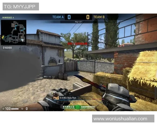 csgo电竞比赛视频-电击海棠文坛巨大的魅力，CSGO电竞比赛视频的魅力与影响-csgo电竞比赛视频